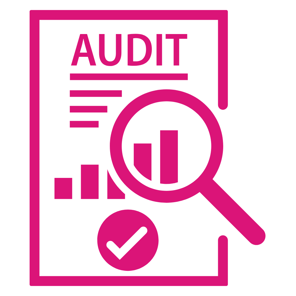 Detailed website Audit for SEO and Search Engines